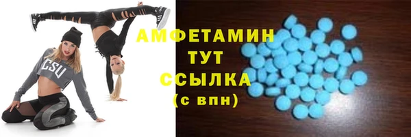 стаф Нея